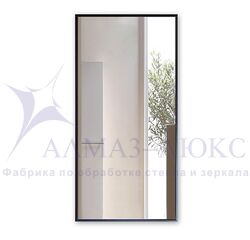 Зеркало прямоугольное в алюминиевой раме M-420 (100х50)